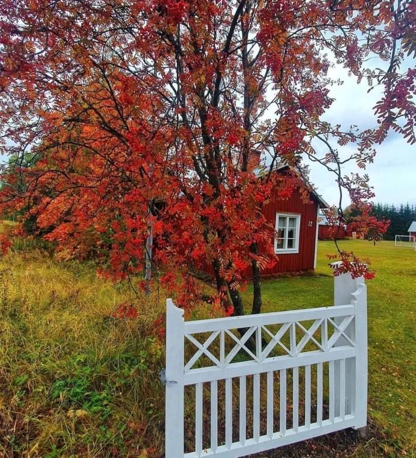 Guesthouse Ojebyn エクステリア 写真